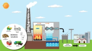 energia-biomasa